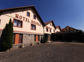 Hotels in Băneşti